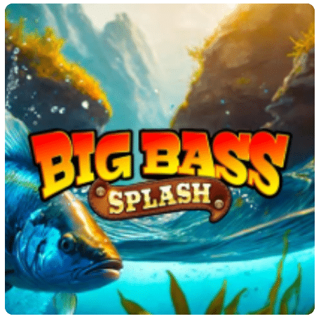 BIG BASS SPLASH